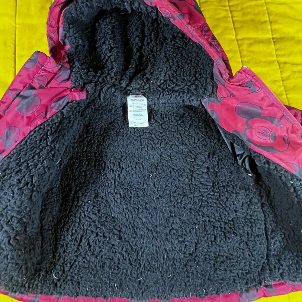 Disney pickup stains jacket